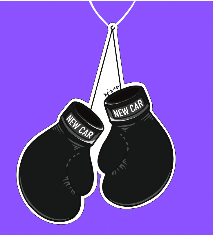 Boxhandschuhe Duftbaum